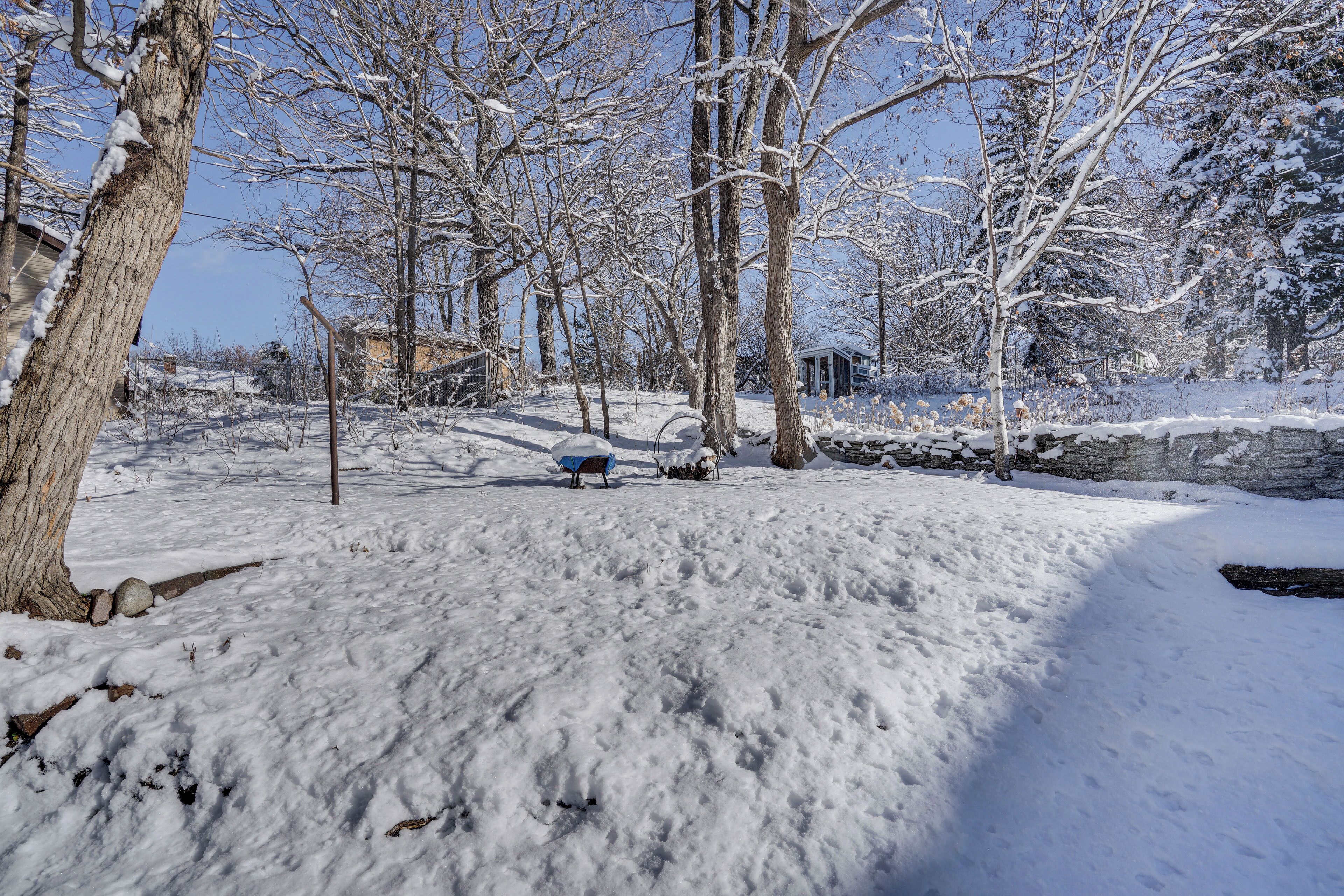 A snow-covered landscape with trees and a stone wall.