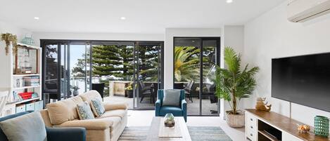 Televisión, reproductor de DVD, libros y videoteca