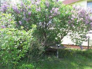 Outdoor dining - Helle Ferienwohnung in Wald- und Wassernähe (Kröslin)