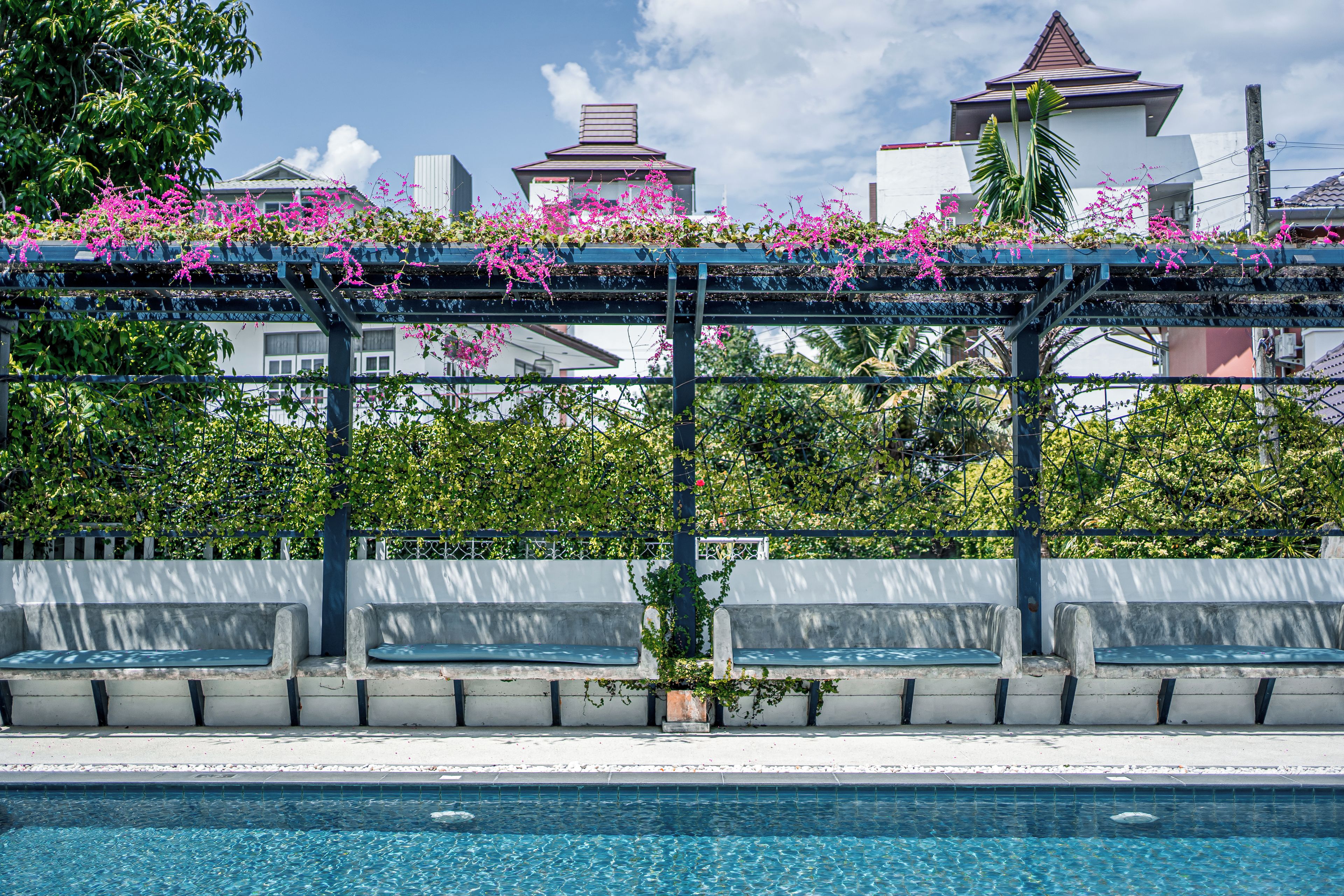 A pool area with a pergola covered in flowering plants, concrete benches, and a clear blue pool.