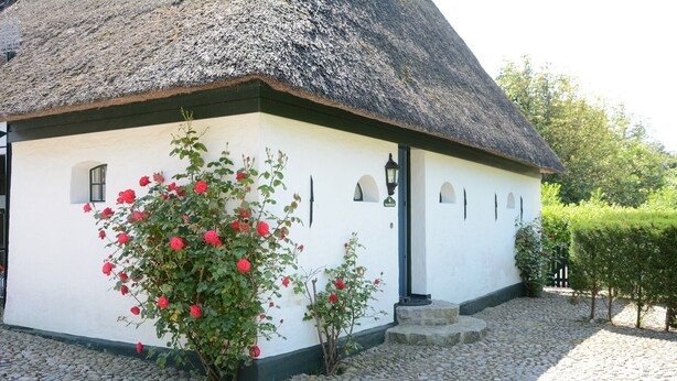 Een wit gebouw met rieten dak, een rozenstruik ervoor en een geplaveid pad.