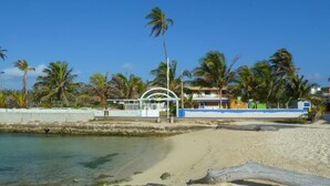 Una spiaggia con vista libera sul mare, palme e un edificio bianco con tetto blu.