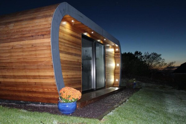 Une cabane moderne en bois, dotée d’une porte d’entrée en verre, d’un pot de fleurs bleu et d’un éclairage extérieur soigné.