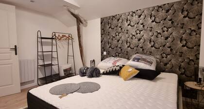 L'Ethnic Chic 3* WIFI Netflix Disney+Coeur Bastide