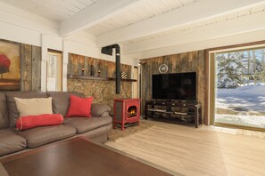 TV, fireplace, computer monitors