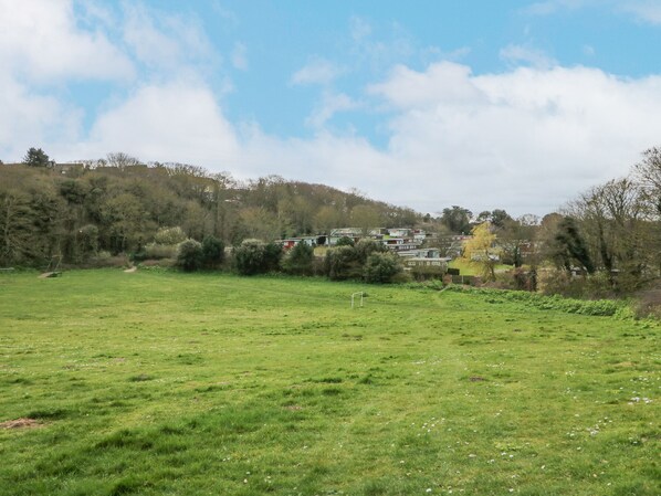 A grassy field with a soccer goal, trees, and houses in the background.