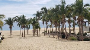 Une plage bordée de palmiers, avec un bâtiment visible au loin.