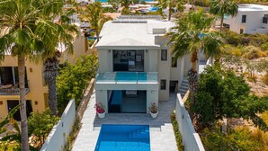 Une villa moderne dotée d’une piscine, entourée de palmiers et offrant une vue sur l’océan.
