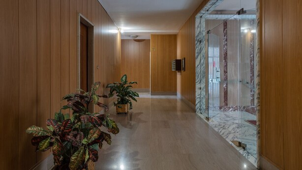 A hallway with wooden paneling, a marble wall, and potted plants. - Modern Apartment in Santa Rita by Wonderful Italy (Torino)