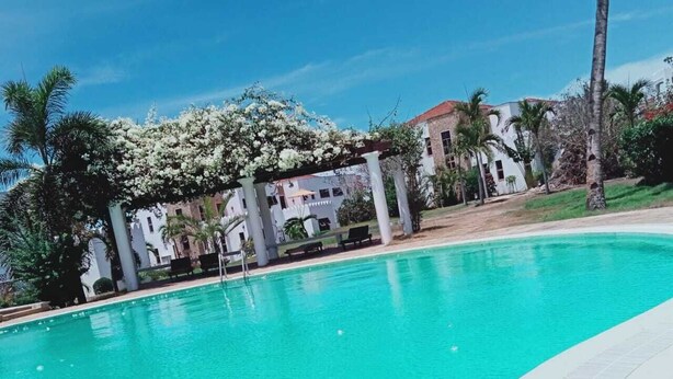 Una piscina de color blau clar amb un videt de rajola blanca, envoltada de palmeres i un edifici blanc amb teulada vermella.