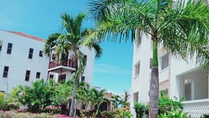 Un pati amb palmeres i plantes florides, envoltat d'edificis d'altes plantes amb balcons.