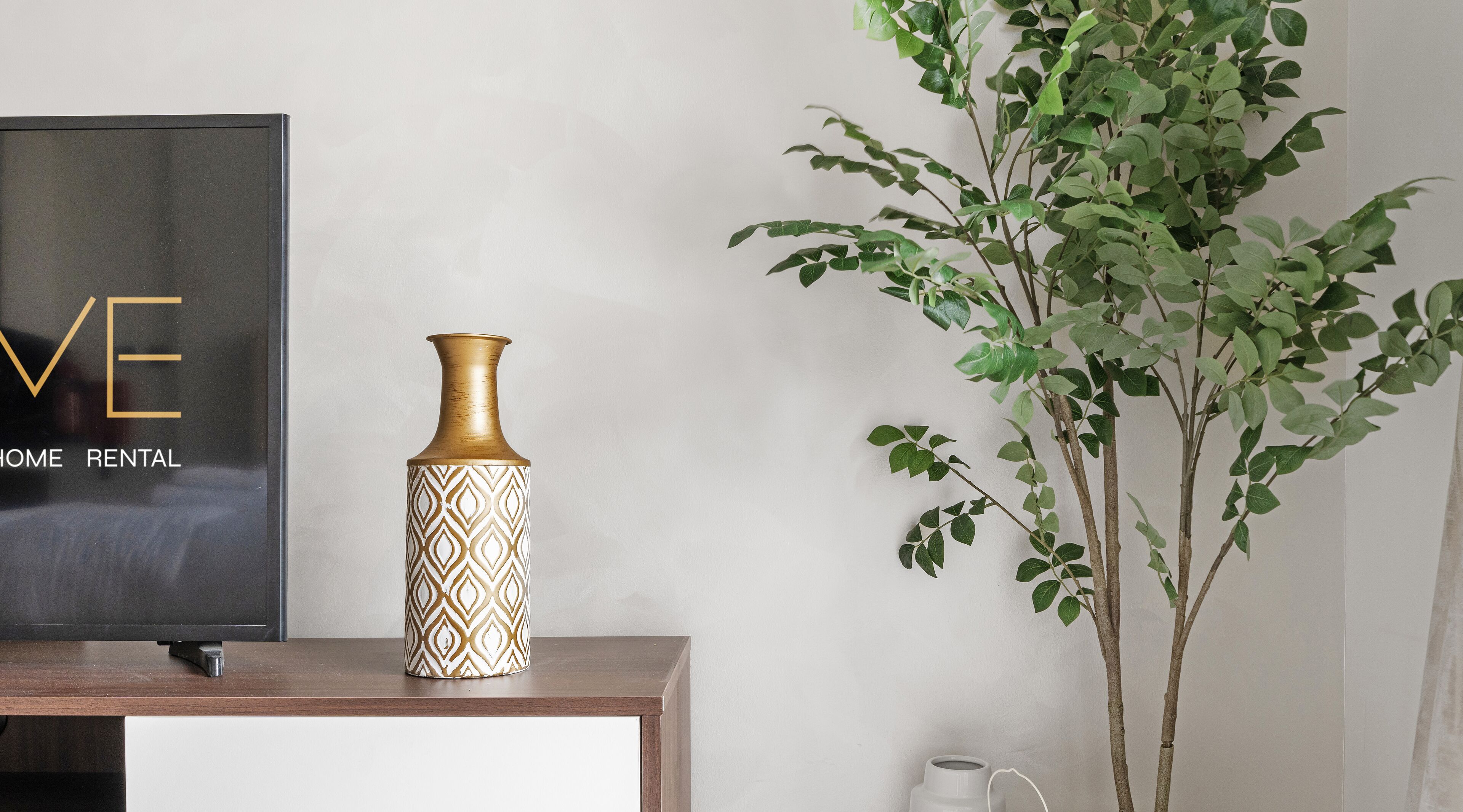 Un salon moderne avec un téléviseur, un vase décoratif et une plante en pot.