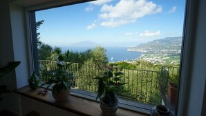 Un balcón con vistas al mar y a las montañas, plantas en macetas y un alféizar.