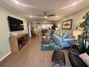 Fernseher, DVD-Player