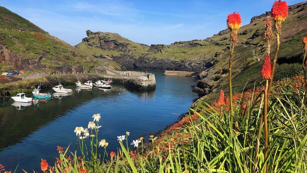 A coastal harbor with boats docked, surrounded by green hills and clear skies. - Lowen Cottage (Boscastle)