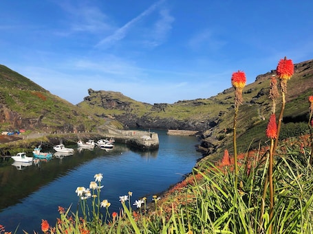 Casa de campo | Marina. Lowen Cottage