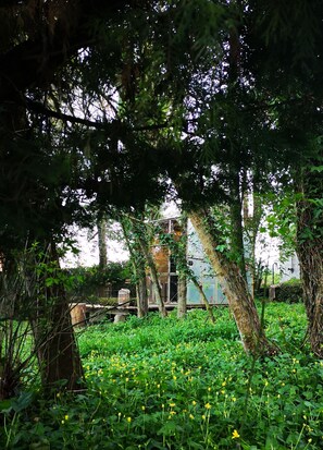 Property grounds - Green Box - be in Nature w/ Train to Porto (Valongo)