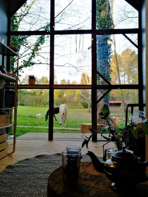 Interior - Green Box - be in Nature w/ Train to Porto (Valongo)