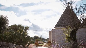 A stone building with a conical roof, surrounded by cacti and flowering plants.