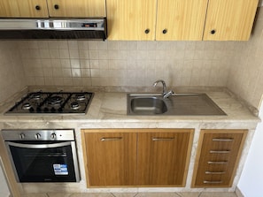 Full-size fridge, oven, stovetop, cookware/dishes/utensils