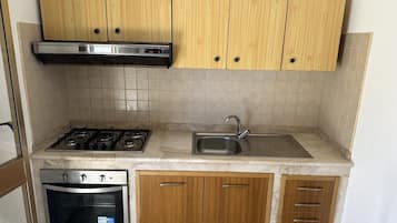 Full-sized fridge, oven, stovetop, cookware/dishes/utensils
