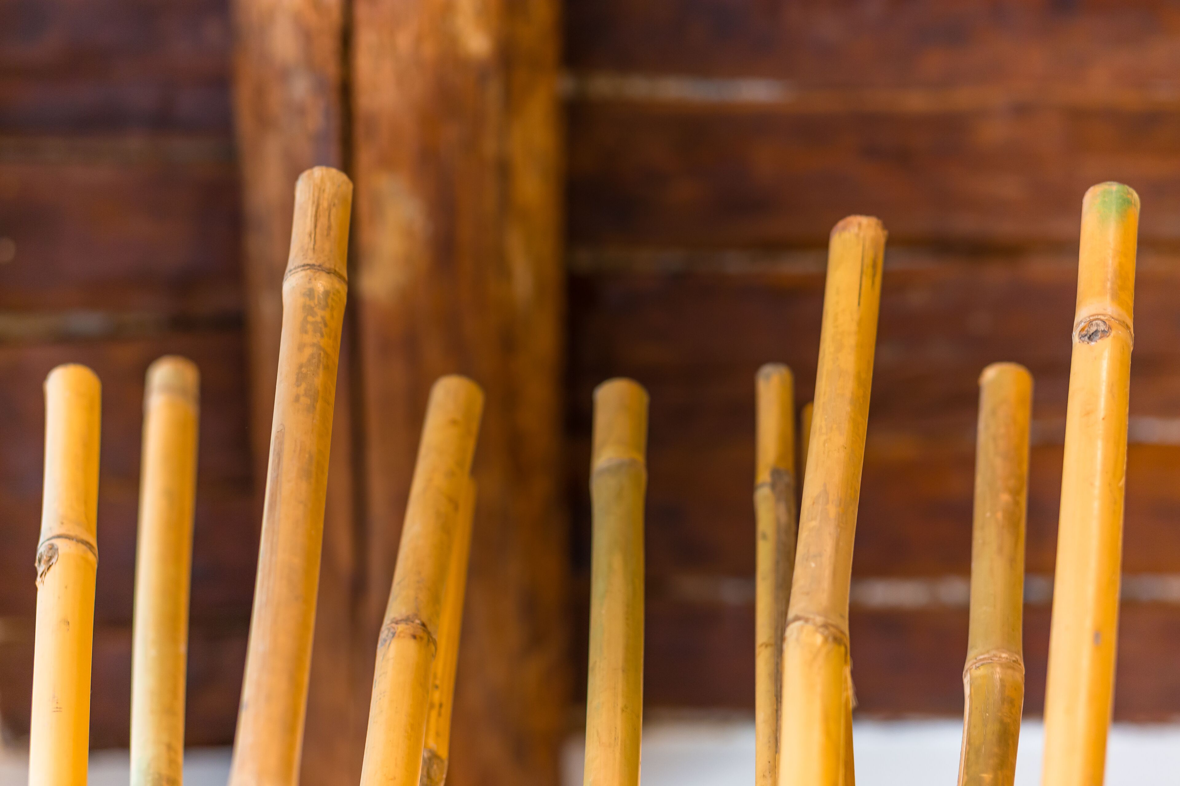 A close-up of bamboo sticks.