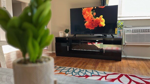 A living room with a flat-screen TV on a black stand, a potted plant in the foreground, a patterned rug, and a window with curtains.