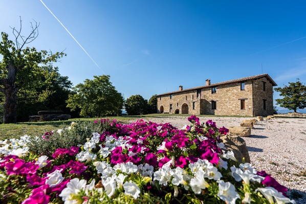 Overnattingsstedets uteområder