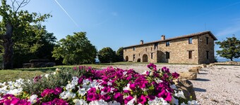 Farmhouse with private pool exclusively - Bio Agriturismo Assiolo 