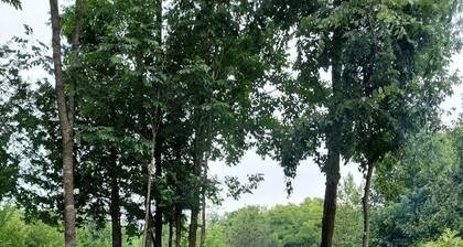 Cozy Timberwood cottage on 75 acres of privacy.