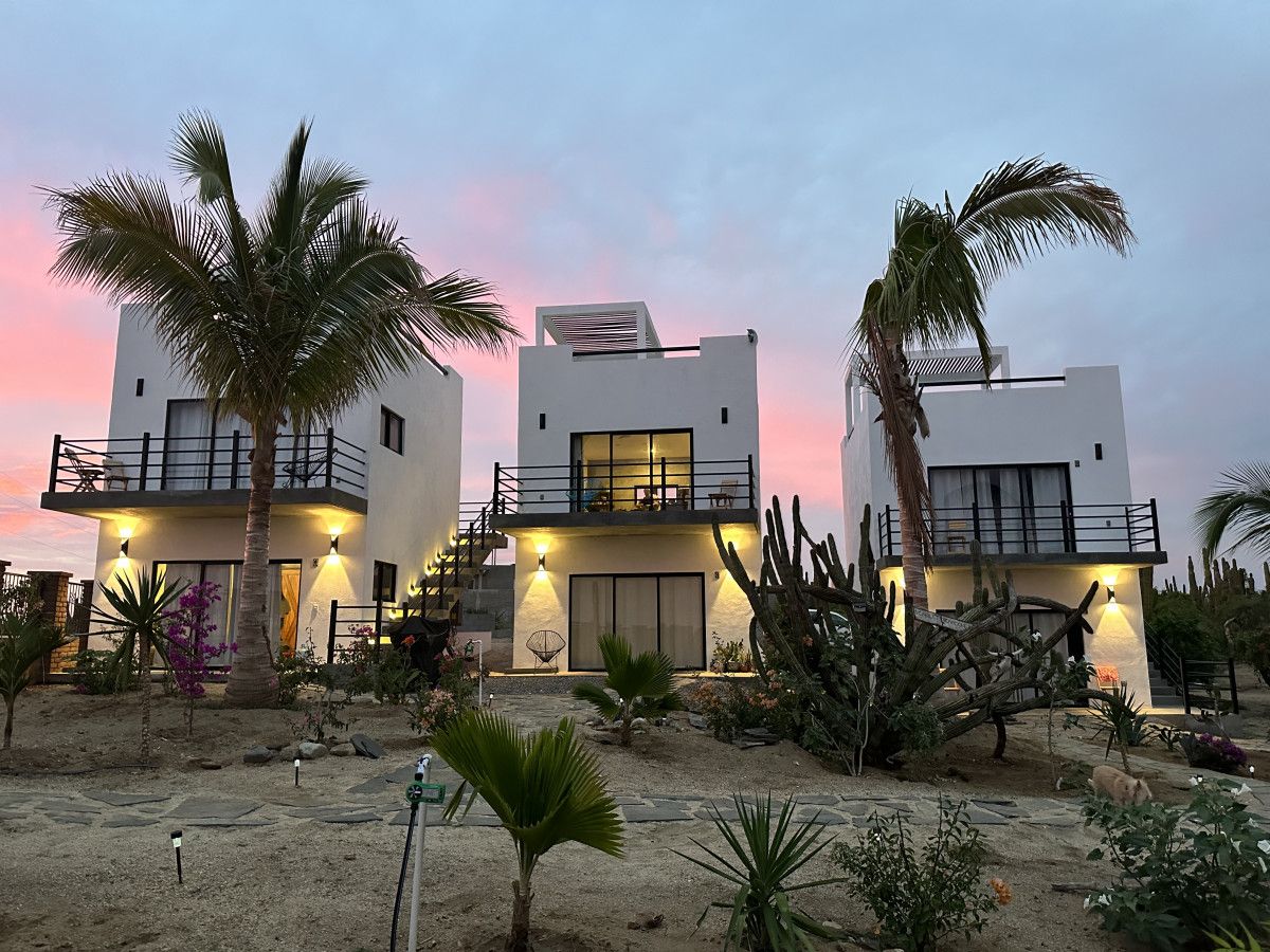 Un edificio moderno de dos pisos con balcones, rodeado de cactus y palmeras.