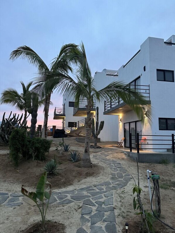 Un edificio moderno con un camino de piedra que conduce a una entrada cubierta, rodeado de palmeras y plantas desérticas.