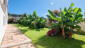 A paved pathway leading to a lush garden with banana trees and other tropical plants. - Tranquilidade e muito ventilado  (Aquiraz)