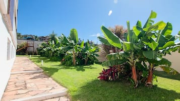 Jardim