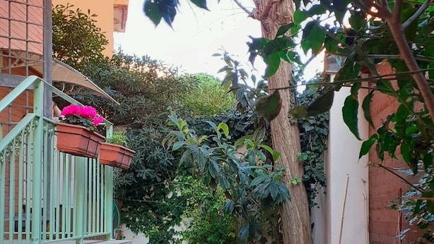Un pequeño espacio al aire libre con mesa y sillas, rodeado de follaje y un árbol.