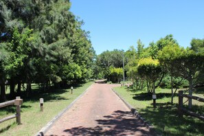 Chuveiro, secador de cabelo, toalhas de banho, sabonete