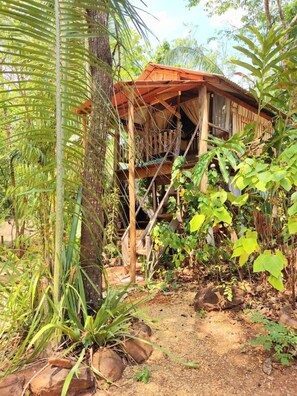 1 habitación, decoración personalizada y muebles diferentes 