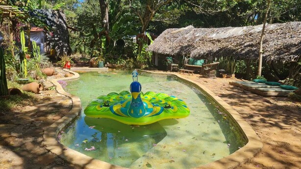 Ein kleiner Pool im Freien mit einem bunten Schwimmspielzeug in der Mitte, umgeben von üppiger Vegetation und einem Gebäude mit einem Reetdach.