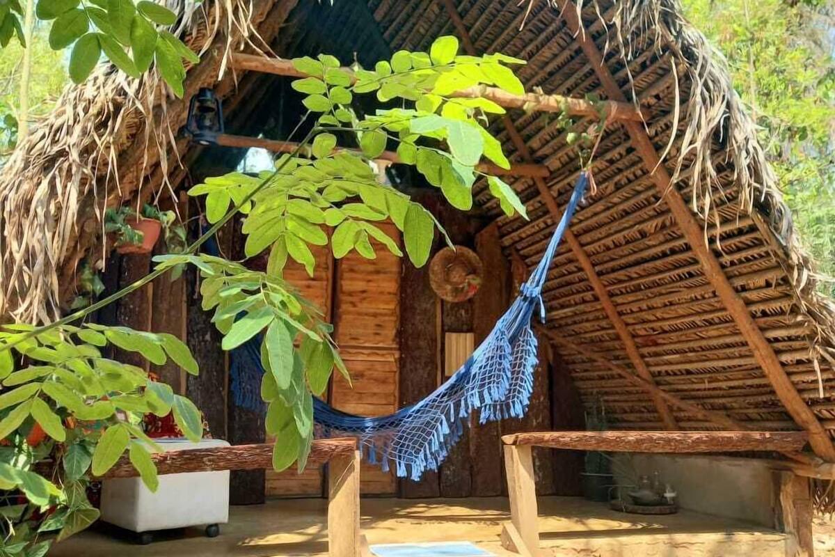 A rustic thatched-roof hut with a hammock and wooden bench in front.