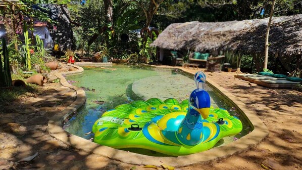 Una piscina al aire libre, sombrillas, tumbonas