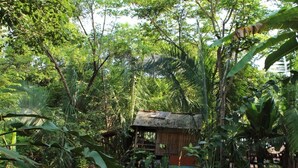 Ein tropischer Garten mit Teich, Sitzgelegenheit und einer rustikalen Hütte.