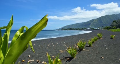 TAHITI - Taharuu Bungalow Surf Hoe