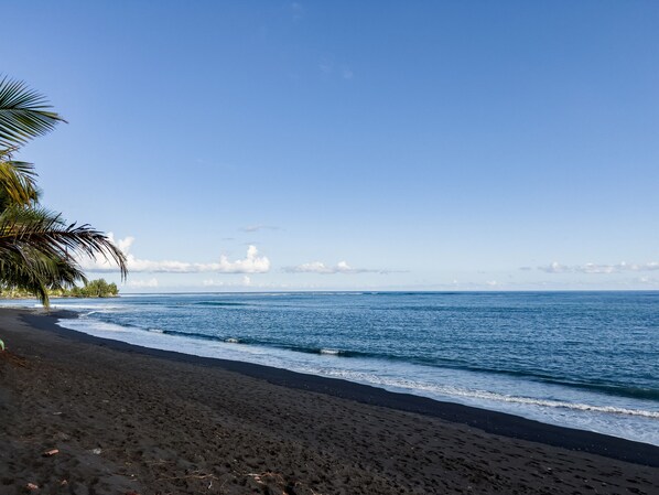 A beach with dark sand, a palm tree, and calm ocean waves under a clear sky. - TAHITI - Taharuu Bungalow Surf Piti (Papara)