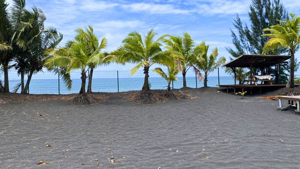 Una playa con palmeras, una estructura de madera con techo y vista al océano.