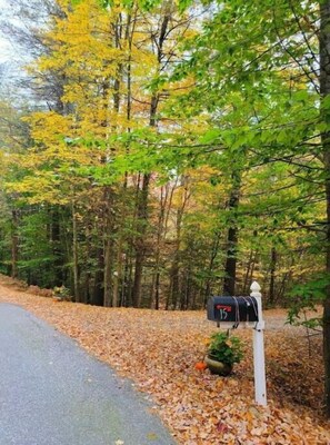 Property grounds - Elegant Lodging in the Woods ~ Privacy & Comfort! Your Home Away from Home! (Deering)