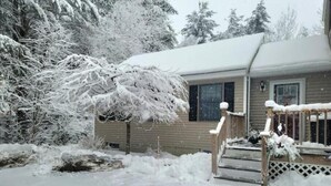 A house with a snow-covered roof and surrounding trees.