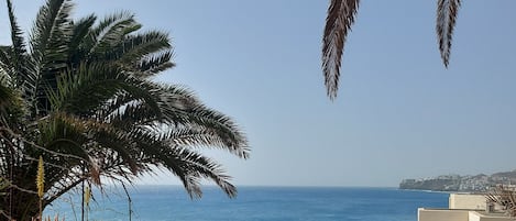 Une vue sur la côte, avec un mur de pierre, des palmiers et une plage délimitée par une clôture.