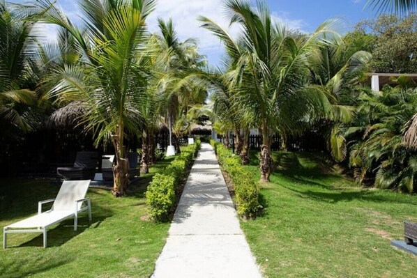 Property grounds - Amazing House in Coronado
(Nueva Gorgona)