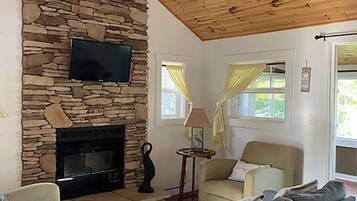 Télévision, cheminée, livres