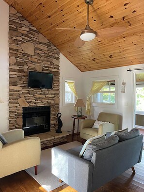 TV, fireplace, books